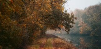 Jak pięknie wyglądać w domu?