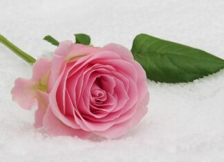 Ile do koperty na komunię 2023?